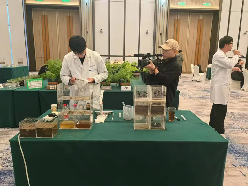 GreatRoot Supports a Bountiful Potato Harvest &ndash; Sobel & Nongzhilian Join Forces to Withstand the Winter