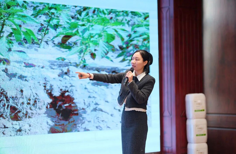 Newly Upgraded GreatRoot &ndash; Supporting the 3rd Xinjiang Crop Harvest Festival