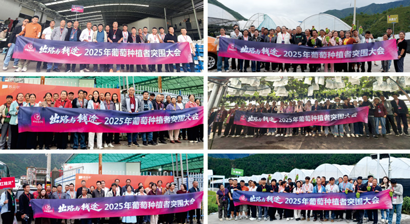 Breakthrough! &ndash; Sparks Fly at the 2025 Grape Growers Conference as &lsquo;Solutions & Profitability&rsquo; Take Center Stage, Growers Call It Truly Refreshing