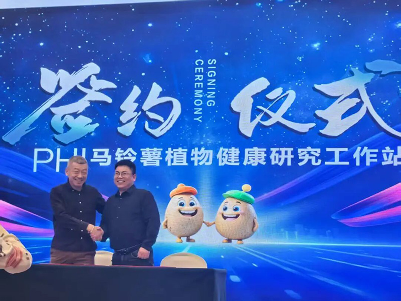 GreatRoot Supports a Bountiful Potato Harvest &ndash; Sobel & Nongzhilian Join Forces to Withstand the Winter
