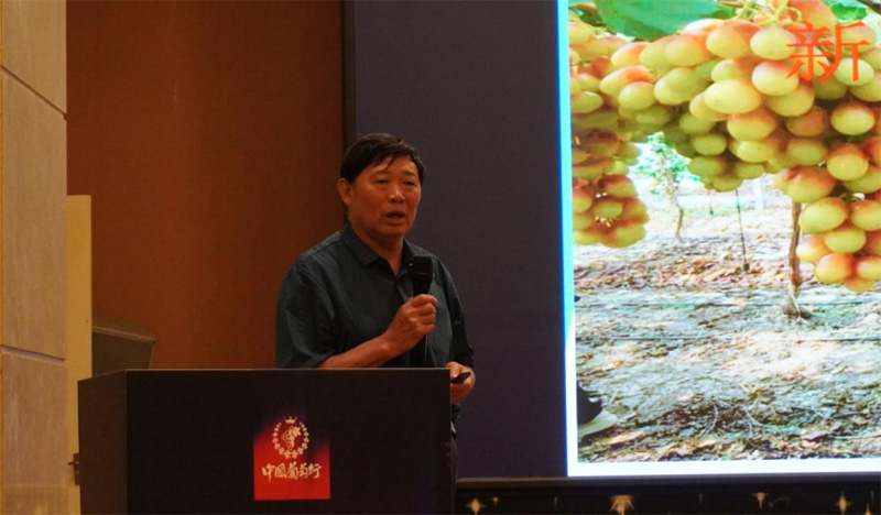 Breakthrough! &ndash; Sparks Fly at the 2025 Grape Growers Conference as &lsquo;Solutions & Profitability&rsquo; Take Center Stage, Growers Call It Truly Refreshing