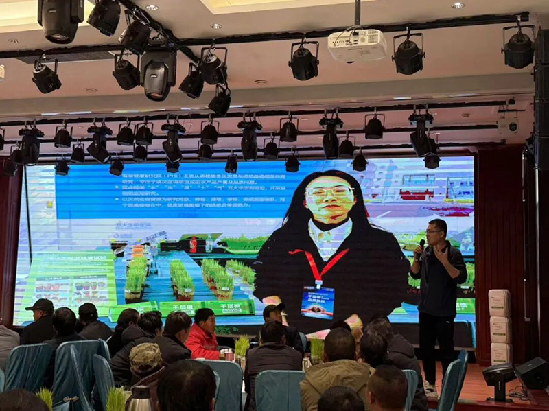 Newly Upgraded GreatRoot &ndash; Supporting the 3rd Xinjiang Crop Harvest Festival